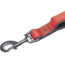 Laisse pour chien avec mousqueton