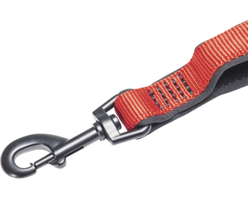 Laisse pour chien avec mousqueton