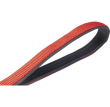 Laisse pour chien en nylon