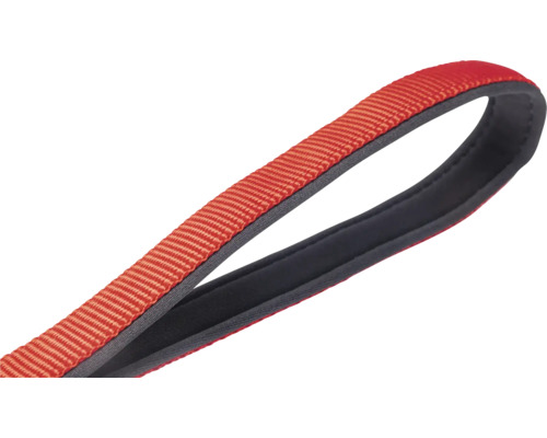 Laisse pour chien en nylon