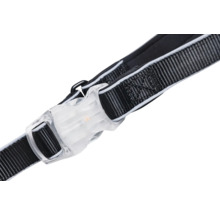 Vue détaillée d'un collier pour chien avec fermeture transparente