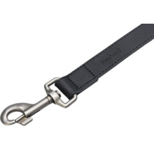 Laisse pour chien avec mousqueton