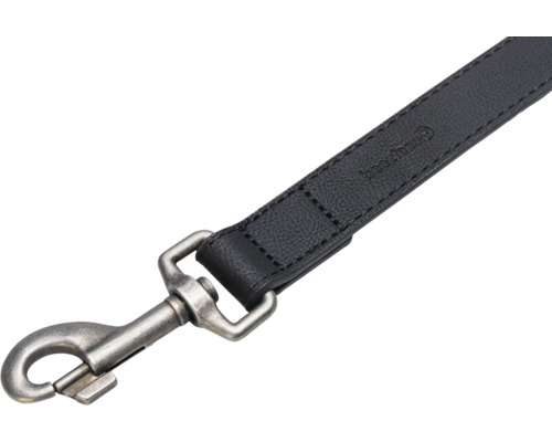 Laisse pour chien avec mousqueton