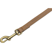 Laisse pour chien Beaztess avec mousqueton