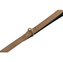 Laisse pour chien avec anneau