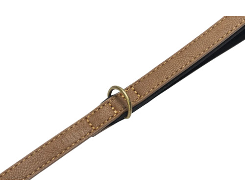 Laisse pour chien avec anneau