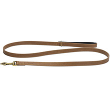 Laisse pour chien en cuir