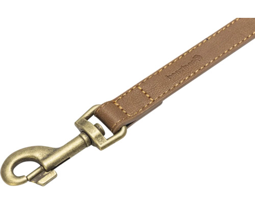 Laisse pour chien en cuir avec mousqueton