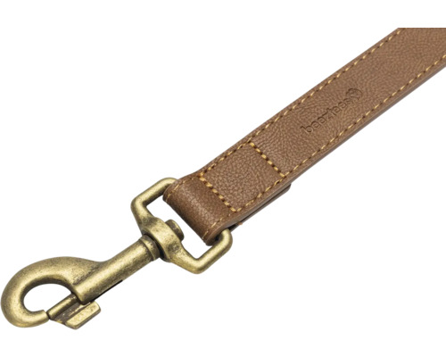 Laisse pour chien en cuir avec mousqueton