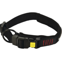 Collier pour chien en nylon avec fermeture