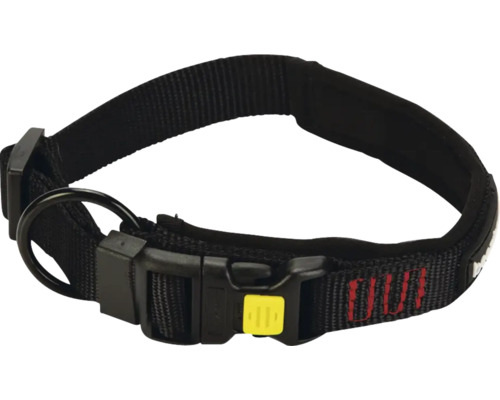 Collier pour chien en nylon avec fermeture