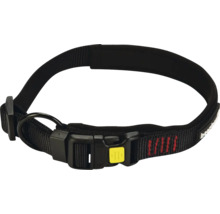Hundehalsband mit Schnalle