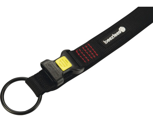 Schwarze Hundeleine mit Schnalle und Metallring