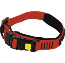 Collier pour chien avec boucle et anneau en D