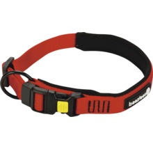 Collier pour chien avec fermeture à clic