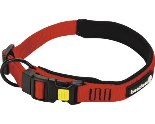 Collier pour chien avec fermeture à clic