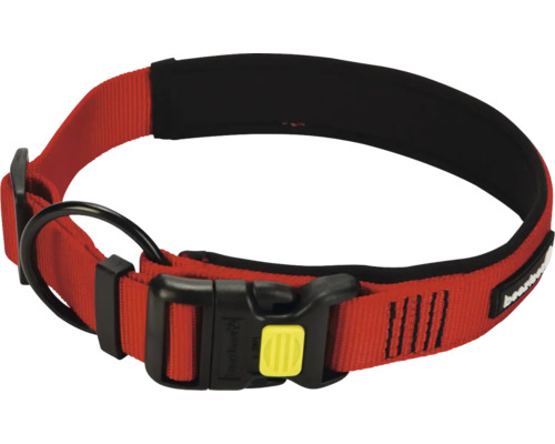 Hundehalsband aus Nylon mit Schnalle