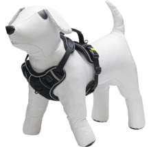 Harnais pour chien sur un modèle de chien