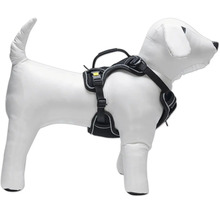 Harnais pour chien sur un mannequin de chien