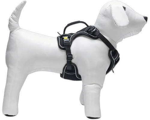 Harnais pour chien sur un mannequin de chien