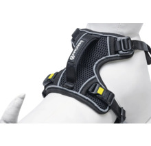 Harnais chauffant pour chien avec le logo de la marque Beetztees