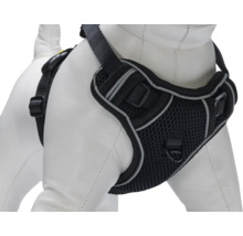 Harnais noir pour chien avec motif en maille pour animaux de compagnie