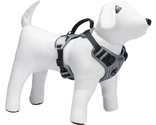 Harnais pour chien sur modèle de chien