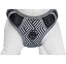 Harnais pour chien avec motif géométrique