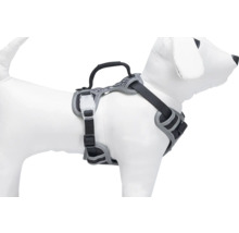 Harnais pour chien sur modèle de chien