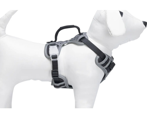 Harnais pour chien sur modèle de chien