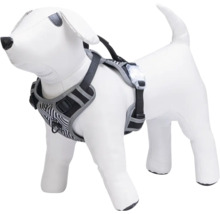 Harnais pour chien avec motif rayé et lampe