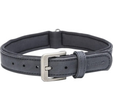 Hundehalsband mit Metallschnalle