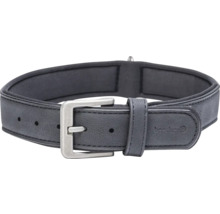 Schwarzes Hundehalsband mit Schnalle