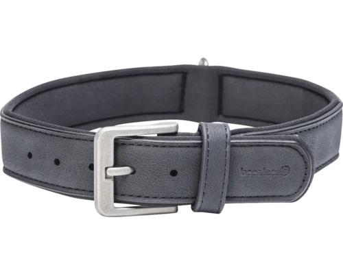 Schwarzes Hundehalsband mit Schnalle
