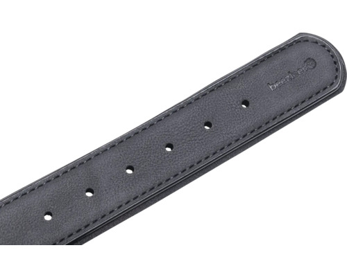 Beaztees Leder Hundehalsband