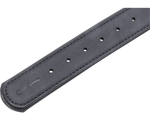 Beeztees Logo auf einem schwarzen Hundehalsband mit Löchern