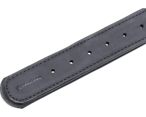 Detailansicht eines Lederhalsbandes für Haustiere mit Löchern und Beeztees Logo.