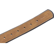 Beagle Hundehalsband aus Kunstleder