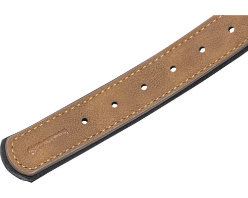 Brauner Hundegürtel mit Löchern