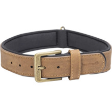 Hundehalsband aus Leder mit Schnalle