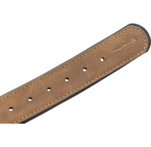 Beetztess Hundehalsband mit Löchern zur Größenanpassung