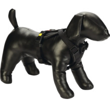 Harnais noir pour chien sur un modèle de chien