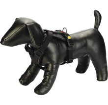 Poupée de chien avec harnais noir pour chien