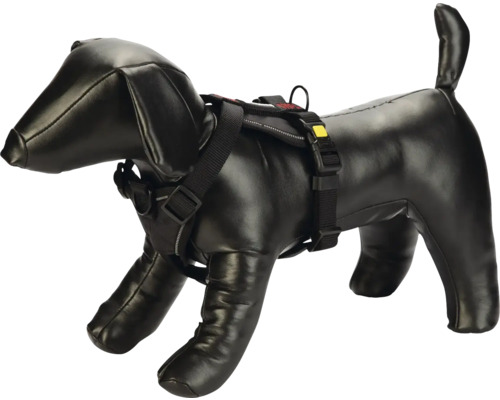 Poupée de chien avec harnais noir pour chien