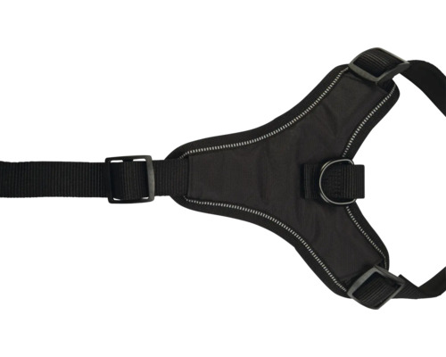 Harnais noir pour chien avec boucles et anneau en D