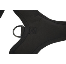 Vue détaillée d'un harnais pour chien noir avec anneau.