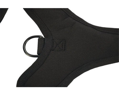 Vue détaillée d'un harnais pour chien noir avec anneau.