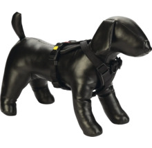 Harnais pour chien sur modèle canin