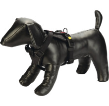 Harnais pour chien sur un mannequin de chien