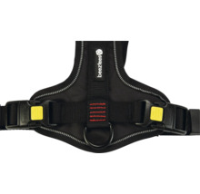 Exemple de harnais pour chien avec boucles et logo Beenztees.